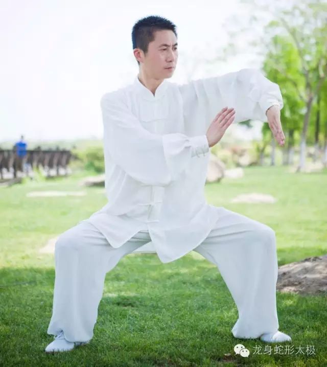 龙身蛇形太极拳总部教练员邵长华 