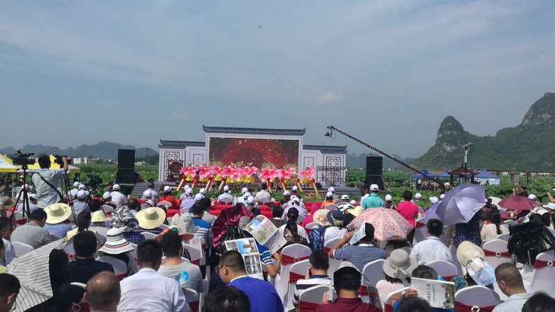 柳州市举办“宜居乡村”荷花文化旅游节