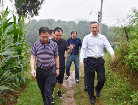 苏刚等县领导到乡镇调研指导工作