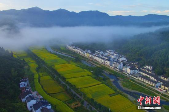 农业农村部：全国近1/4农村生活垃圾未获收集和处理