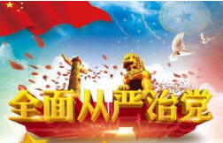 突出政治功能　着力提升基层组织力