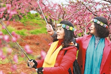 赏花、温泉、海岛 旅游扮靓“她”生活