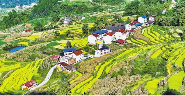多方发力 促进城乡区域协调发展