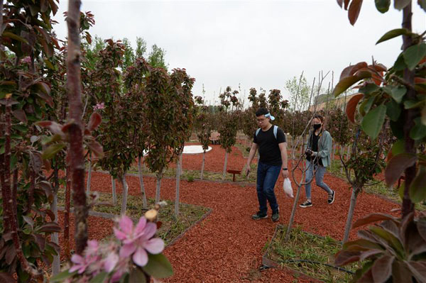 百果园:宁静芬芳待秋实