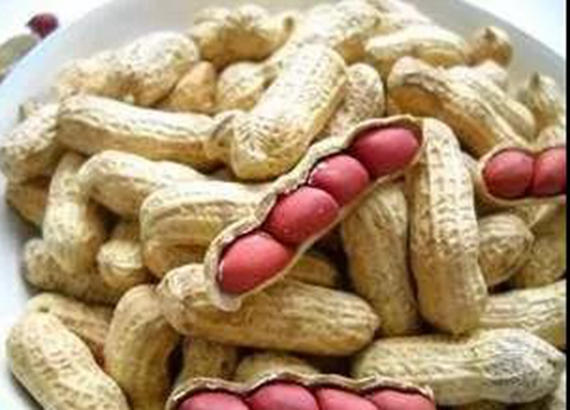 花生价格上涨行情被看好 农户扩种需谨慎