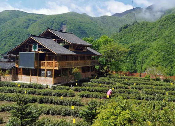 神农架林区打造“旅农林”生态发展新样板