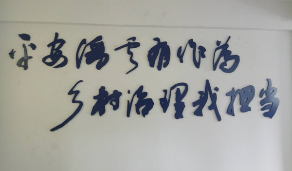 平安缙云有作为 乡村治理我担当