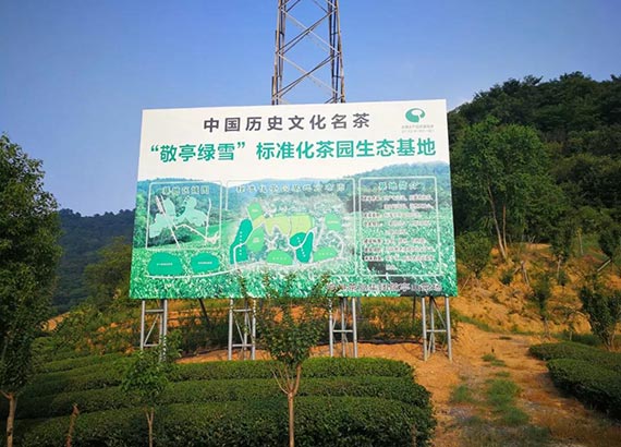 记者实地探访“农业国家队”发展成果