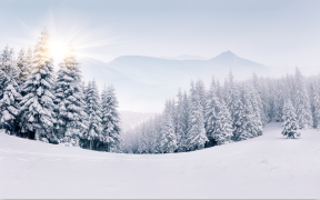 城乡信息：打造旅游交通网络 服务冰雪旅游