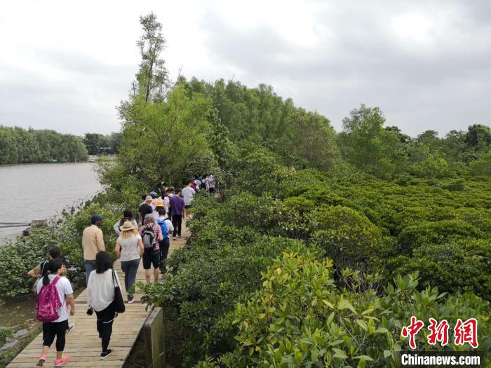 海口推出系列旅游消费活动