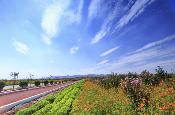 峰峰矿区：“九个全域”建设宜居乡村
