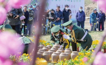 生态葬正在悄悄“流行”