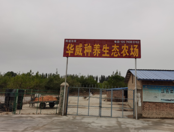 种养结合促增收 致富路上领头羊