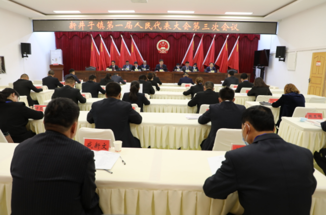 新井子镇第一届人民代表大会第三次会议召开