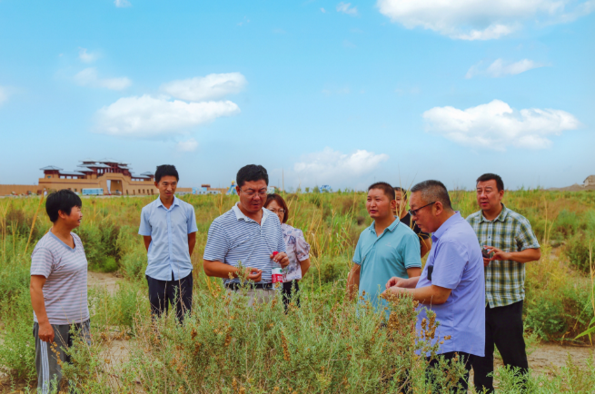 林业和草原局在十一团调研“双重”工程项目和防沙治沙建设工作