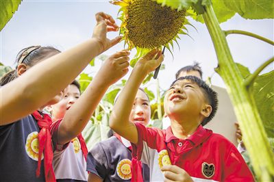 优化资源，办好人民满意的教育