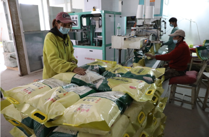 开足马力加工新稻 全力保障市场供应