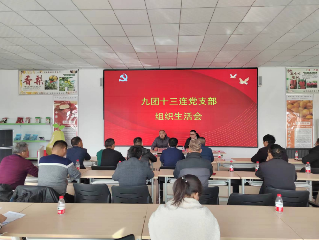 九团各党支部开展2022年度组织生活会