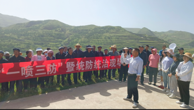 宕昌:小麦“一喷三防” 确保夏粮丰收