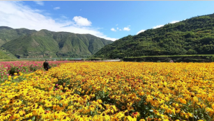 农旅融合 扮靓城市“后花园”