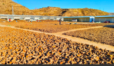 厚植沃土强引擎 跑出产业“加速度”