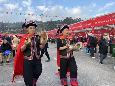 首届昆明公交花漾春乘旅游文化节暨新春年货街活动开幕啦！