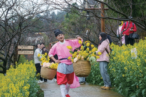 陌上花开引客来