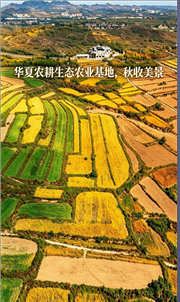 微信图片_20261016132216_5_5.png