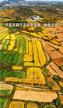 微信图片_20261019110036_16_5.png